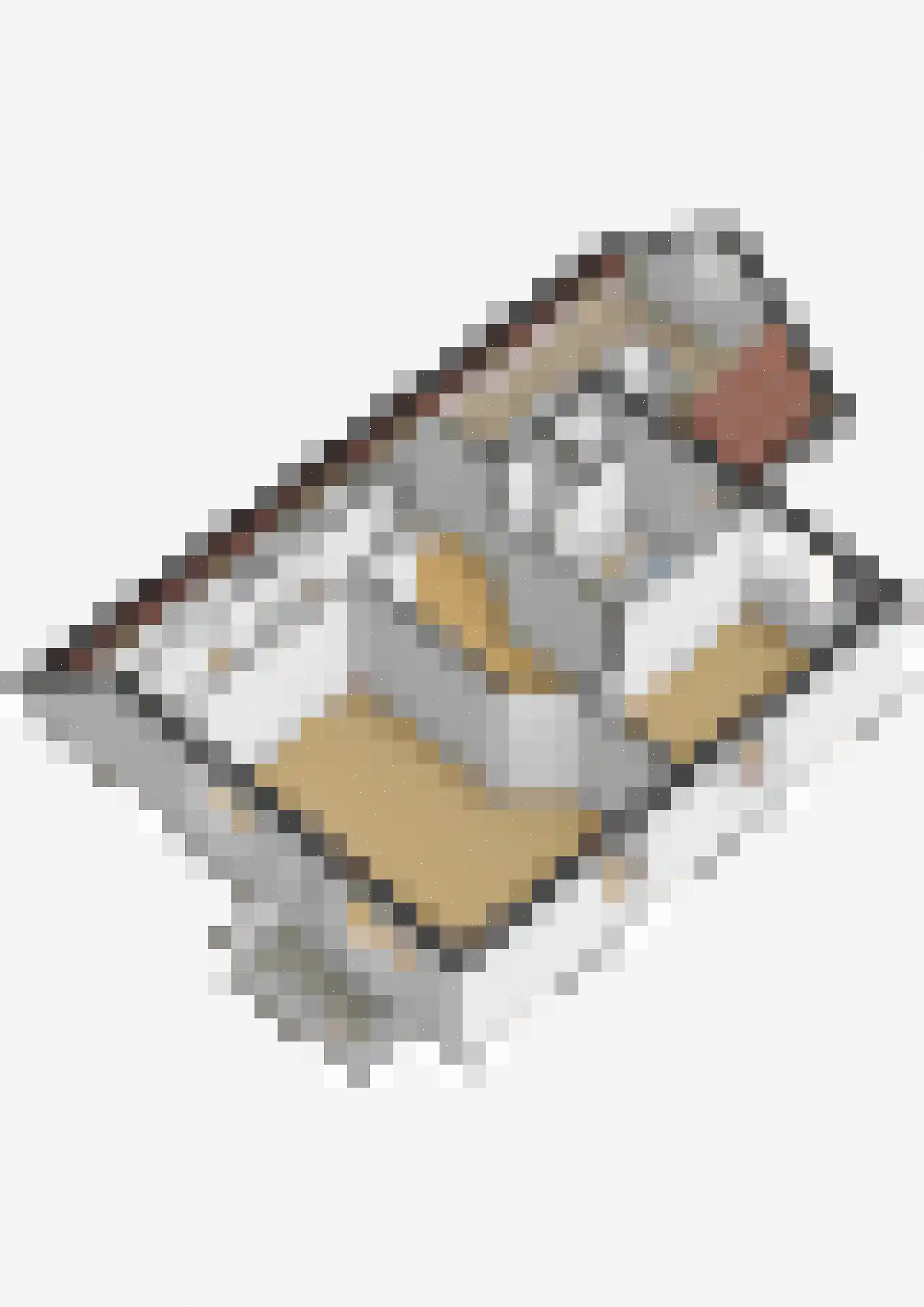 Nij Toerenburg 9 St.-Annaparochie thumbnail 68