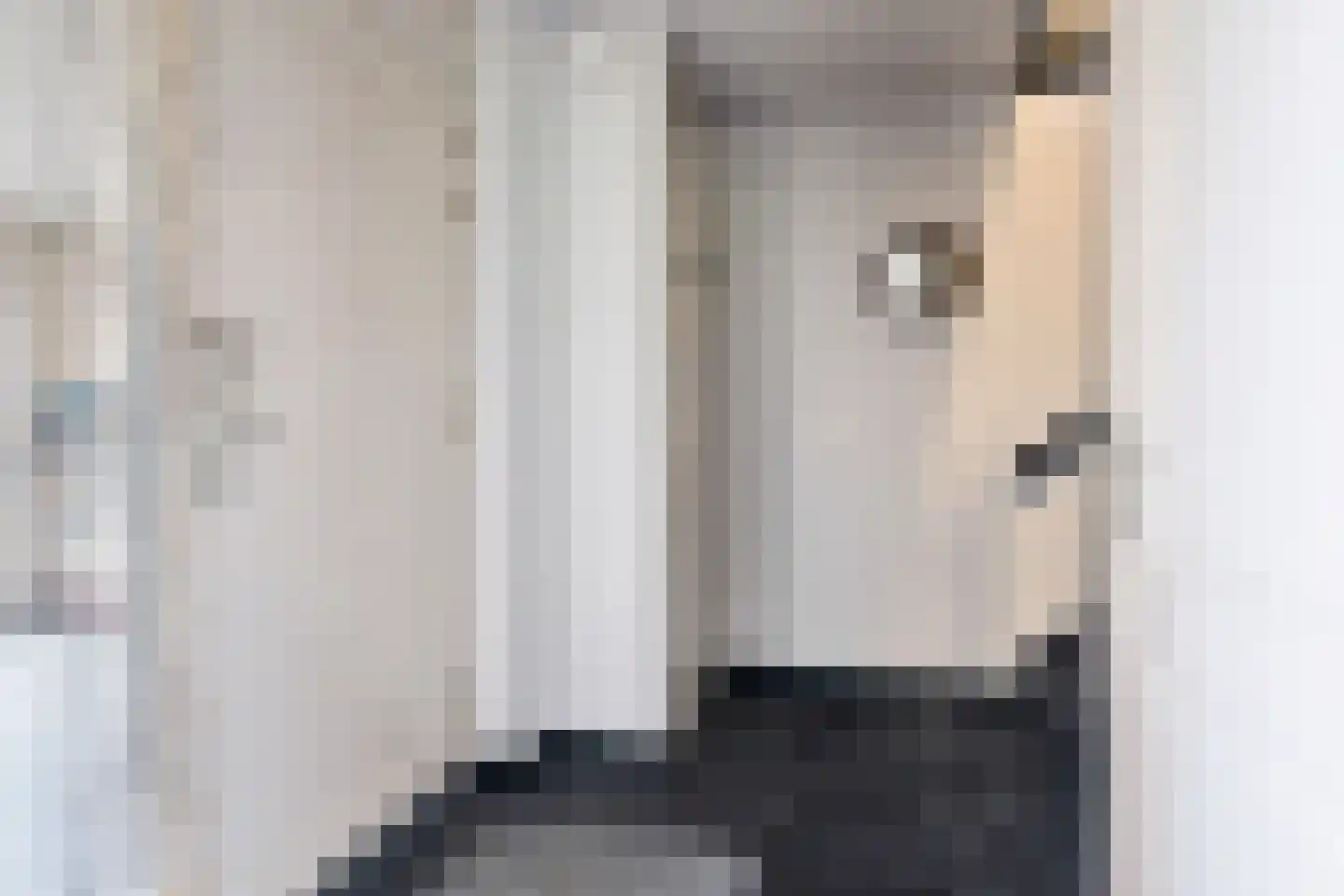 Nij Toerenburg 9 St.-Annaparochie thumbnail 8