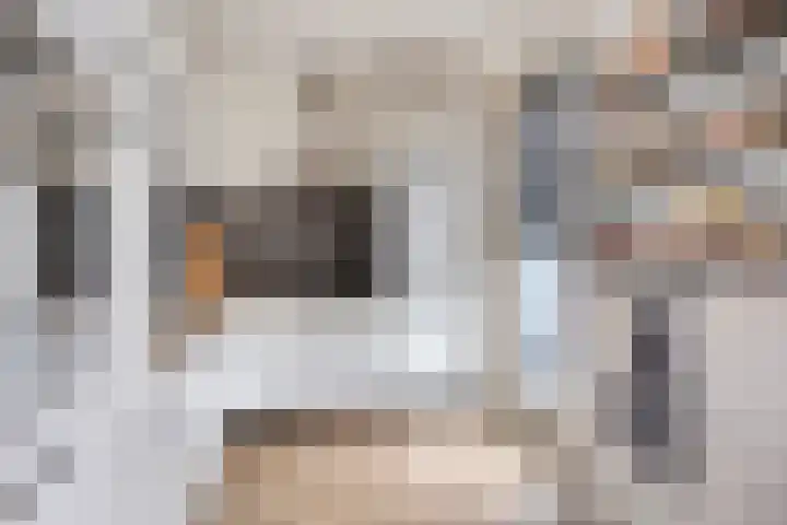 Nijberslaan 5 Steenwijkerwold thumbnail 11