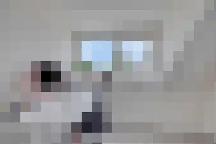Nijberslaan 5 Steenwijkerwold thumbnail 28