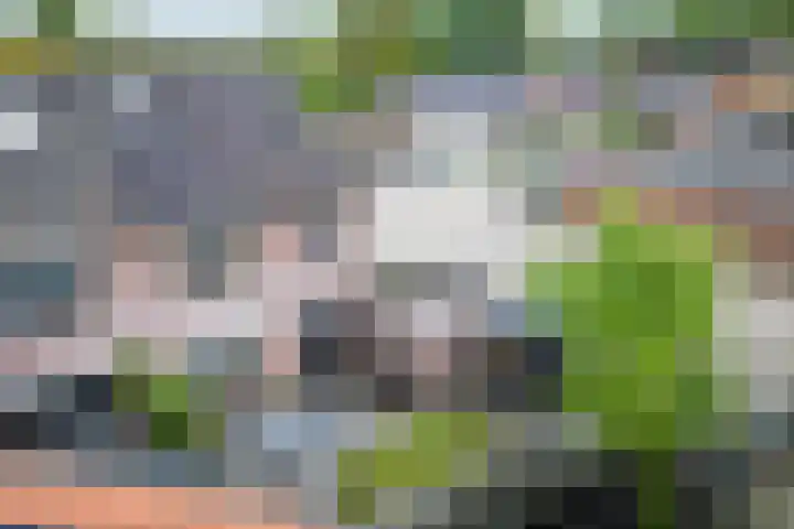 Nijberslaan 5 Steenwijkerwold thumbnail 32