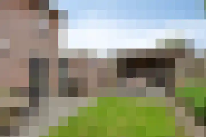 Nijberslaan 5 Steenwijkerwold thumbnail 34