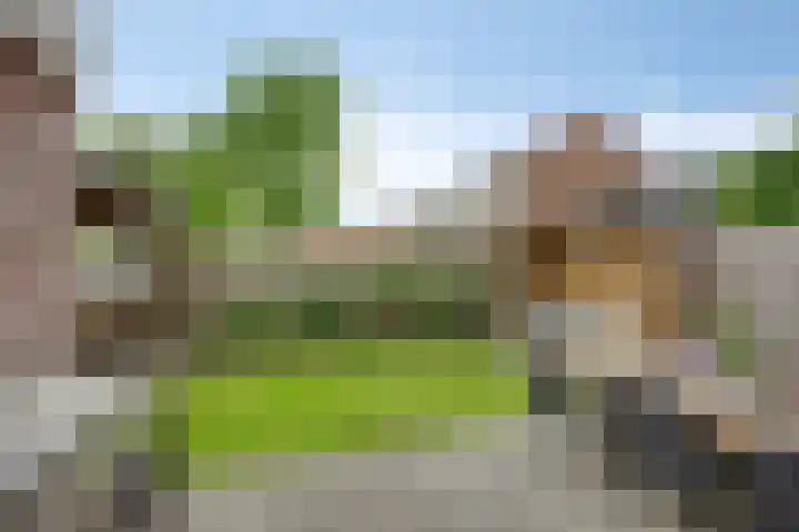 Nijberslaan 5 Steenwijkerwold thumbnail 36