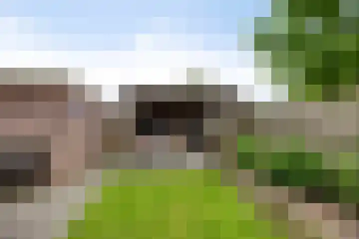 Nijberslaan 5 Steenwijkerwold thumbnail 37