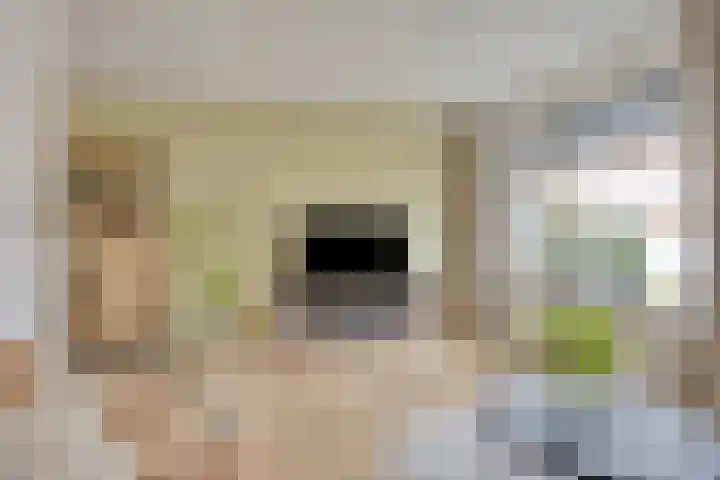 Nijberslaan 5 Steenwijkerwold thumbnail 4