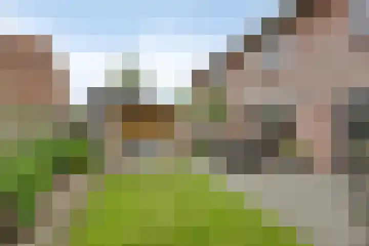 Nijberslaan 5 Steenwijkerwold thumbnail 40