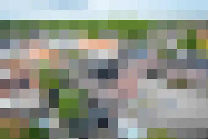 Nijberslaan 5 Steenwijkerwold thumbnail 47