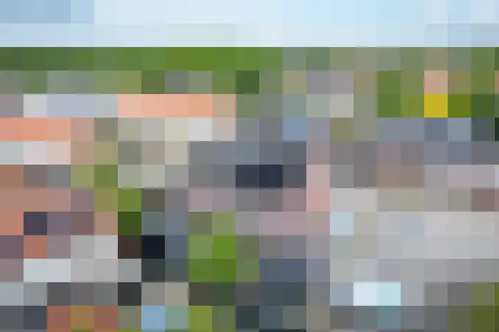 Nijberslaan 5 Steenwijkerwold thumbnail 48