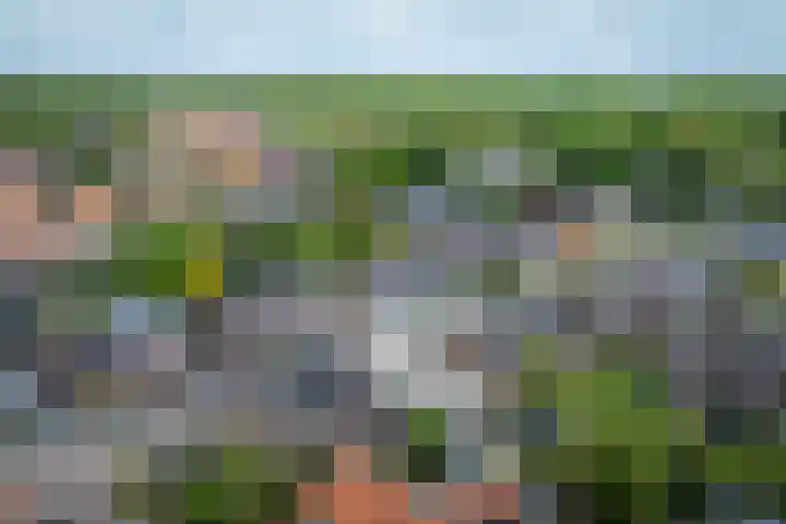 Nijberslaan 5 Steenwijkerwold thumbnail 50