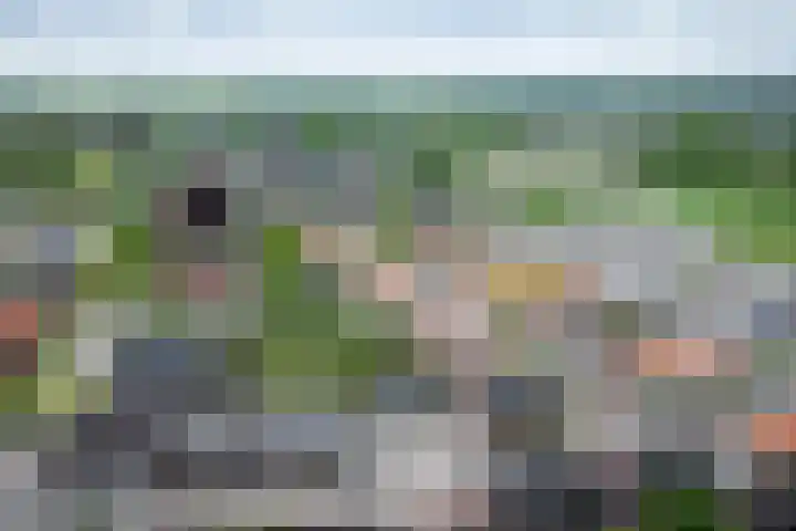 Nijberslaan 5 Steenwijkerwold thumbnail 53