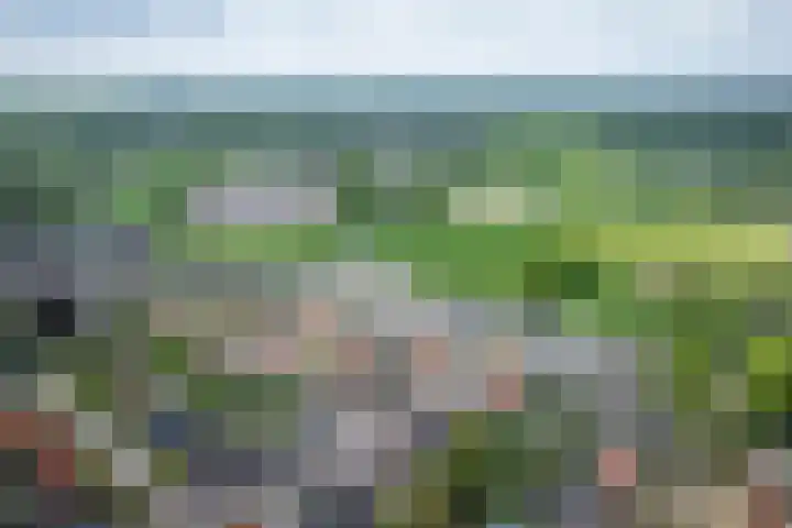 Nijberslaan 5 Steenwijkerwold thumbnail 54