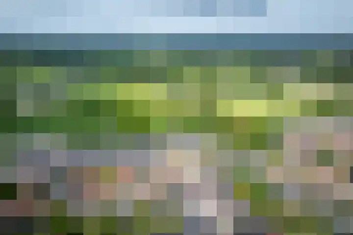 Nijberslaan 5 Steenwijkerwold thumbnail 55
