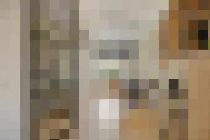 Nijberslaan 5 Steenwijkerwold thumbnail 6