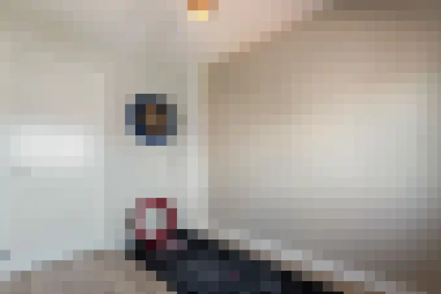 Nijboershof 17 Broekland thumbnail 17