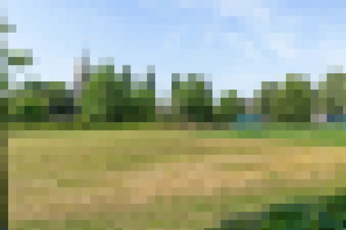 Nijboershof 17 Broekland thumbnail 30