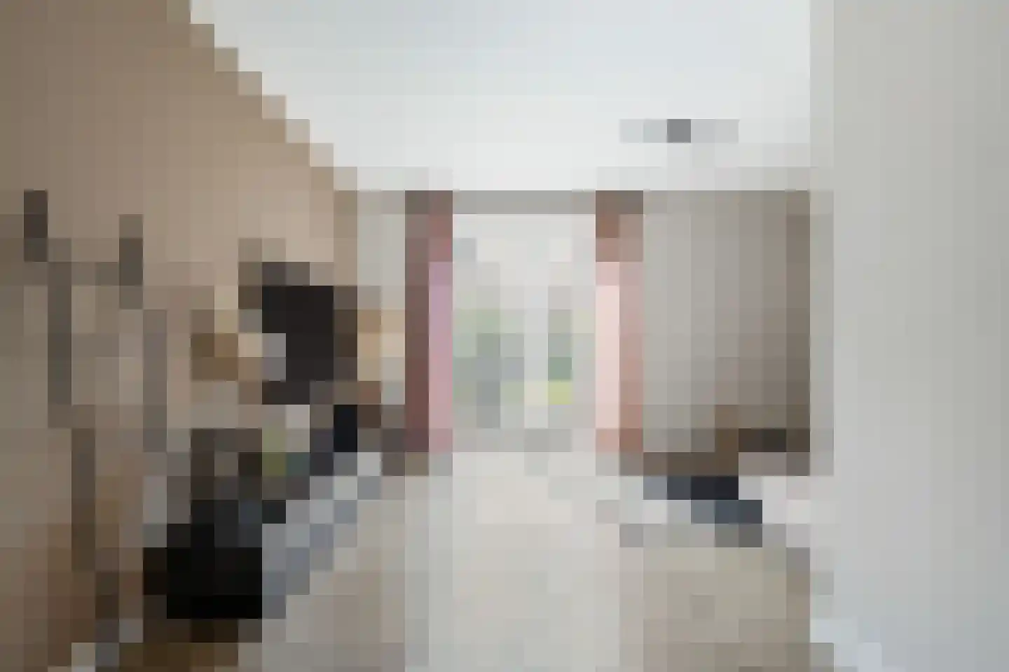 Nijboershof 17 Broekland thumbnail 4