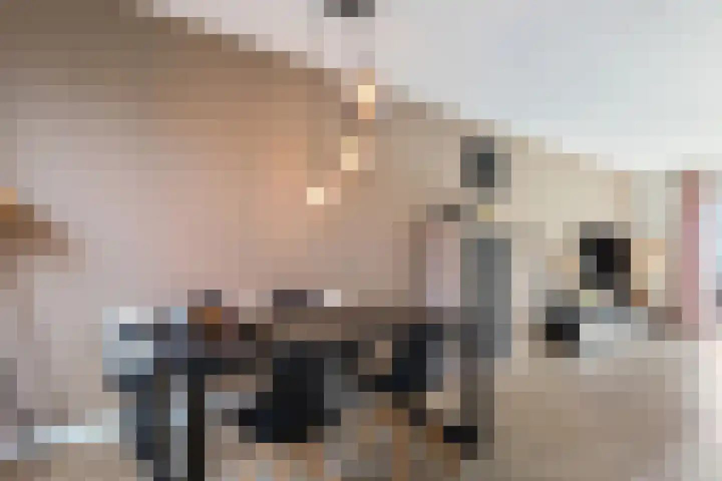 Nijboershof 17 Broekland thumbnail 5