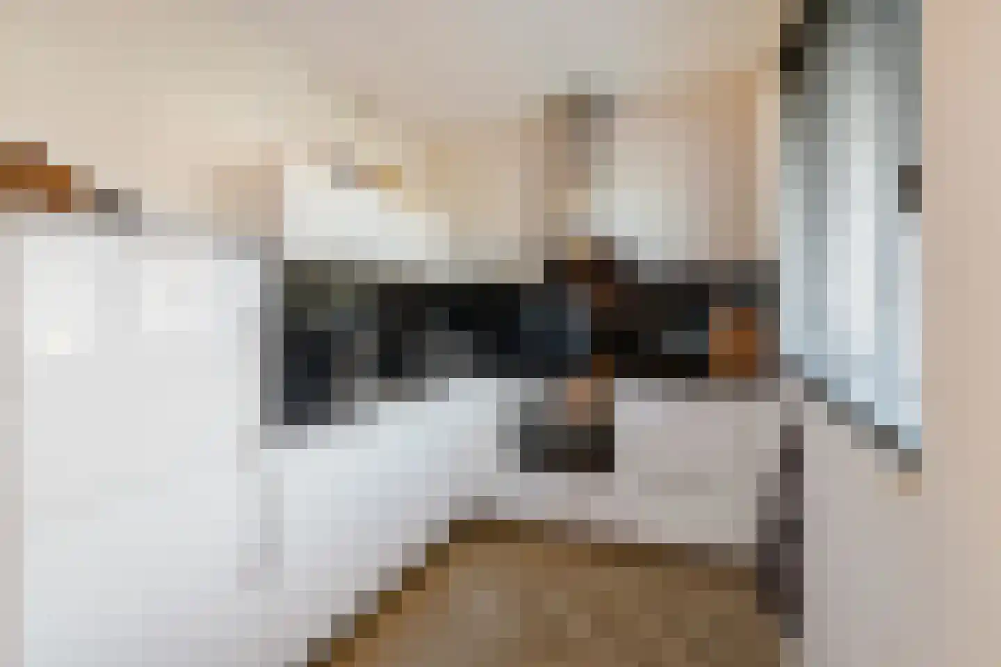 Nijboershof 17 Broekland thumbnail 6