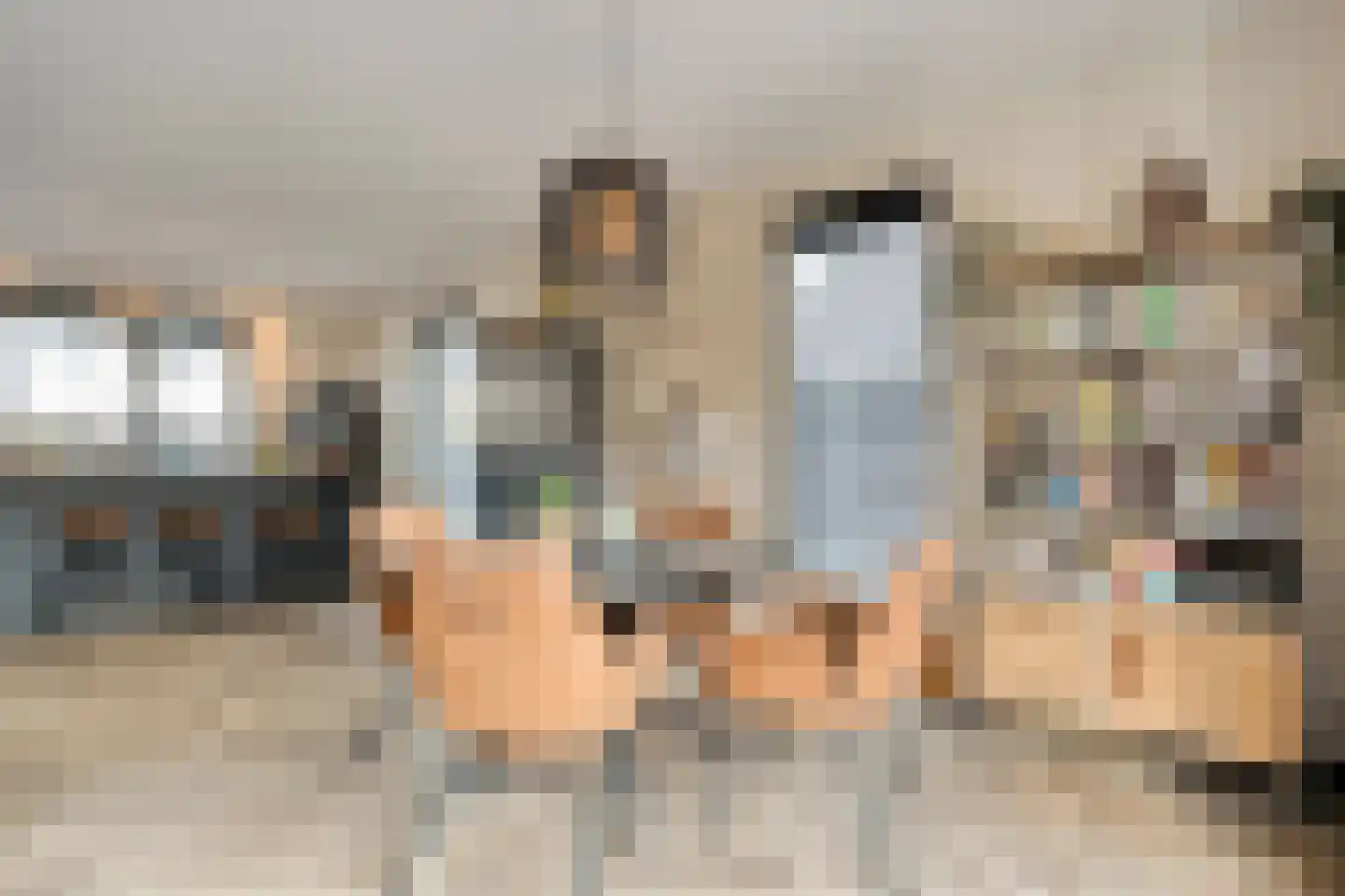 Nijboershof 8 Broekland thumbnail 14