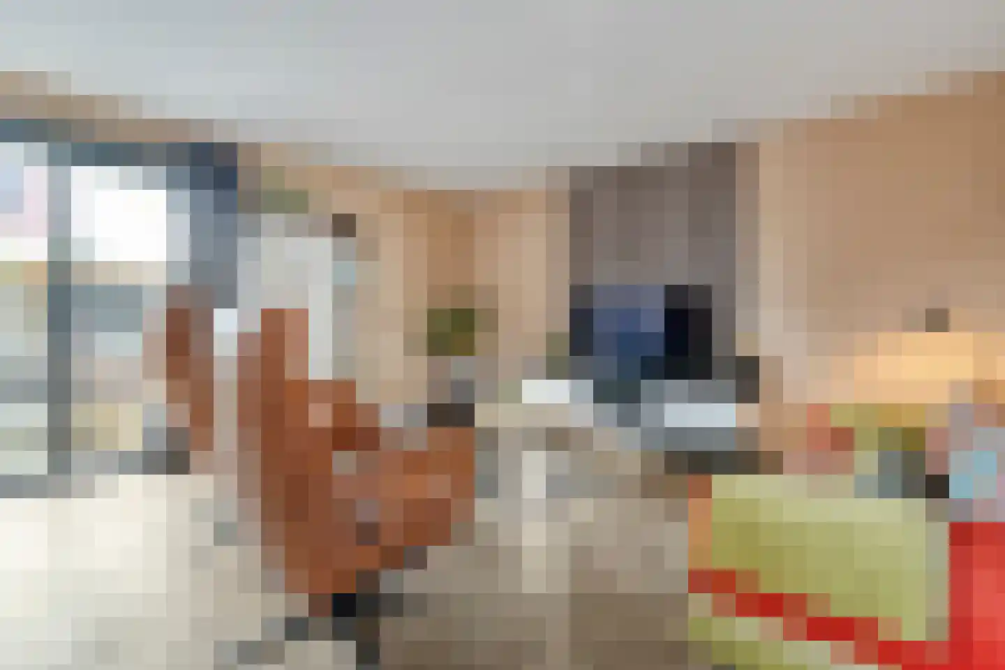Nijboershof 8 Broekland thumbnail 16