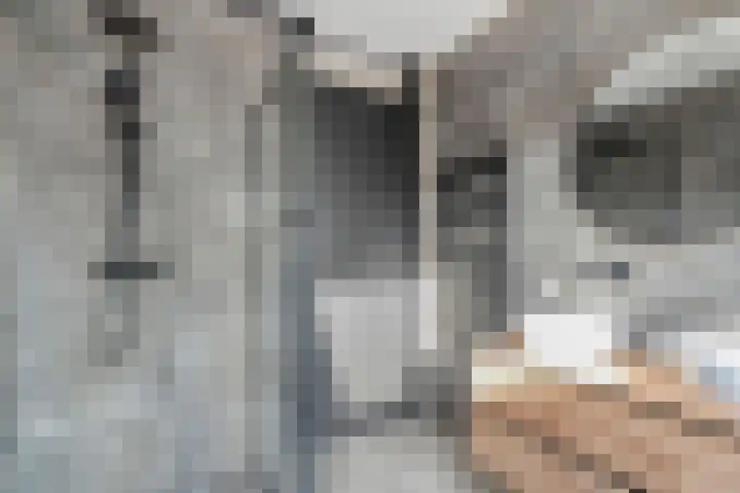 Nijboershof 8 Broekland thumbnail 33