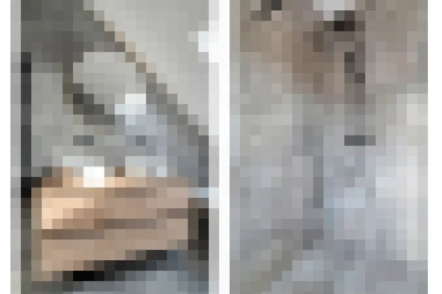 Nijboershof 8 Broekland thumbnail 34