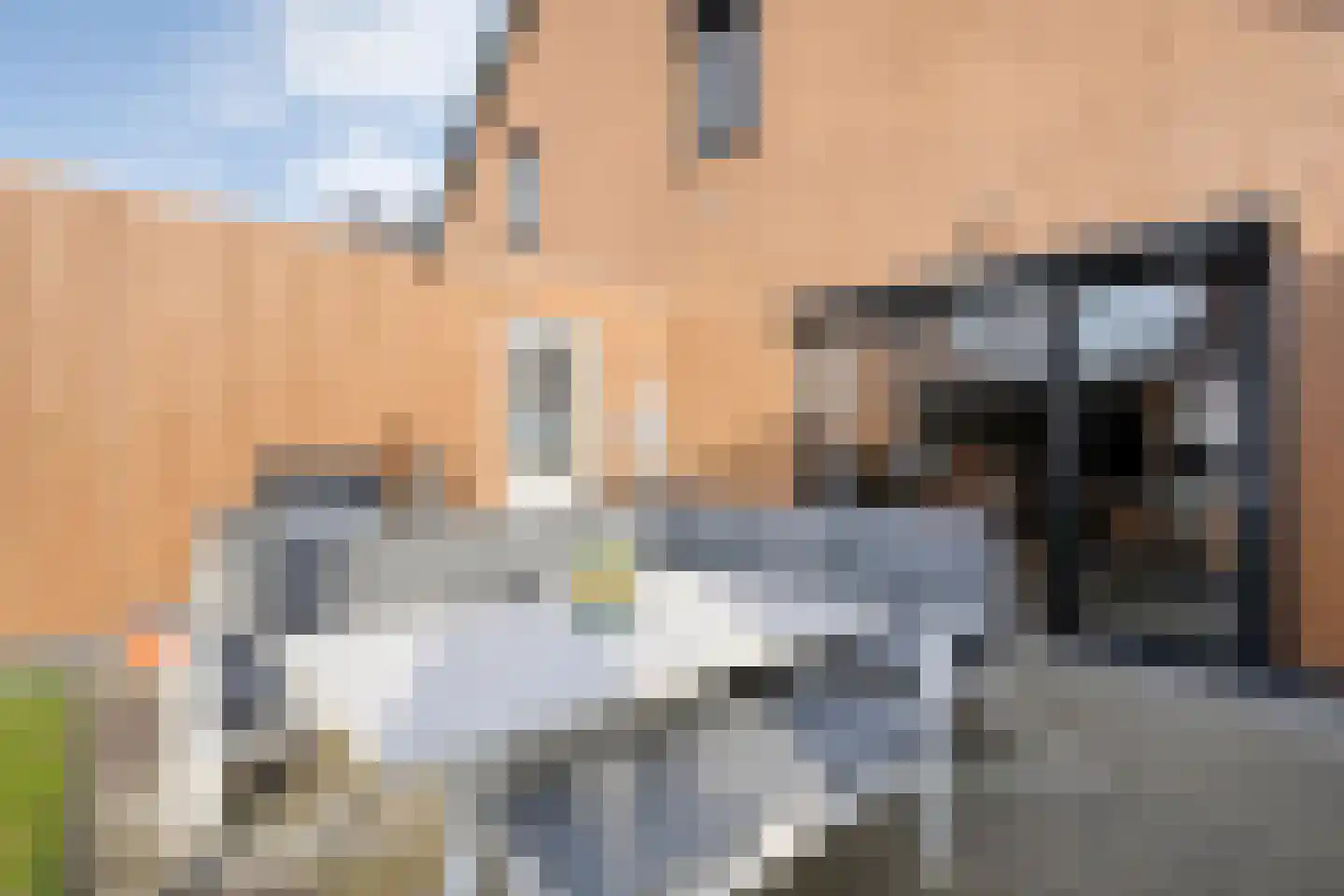 Nijboershof 8 Broekland thumbnail 39