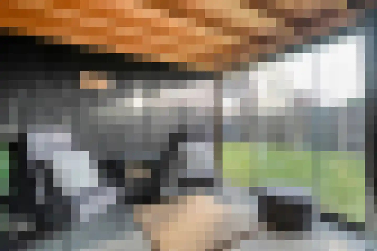 Nijboershof 8 Broekland thumbnail 43