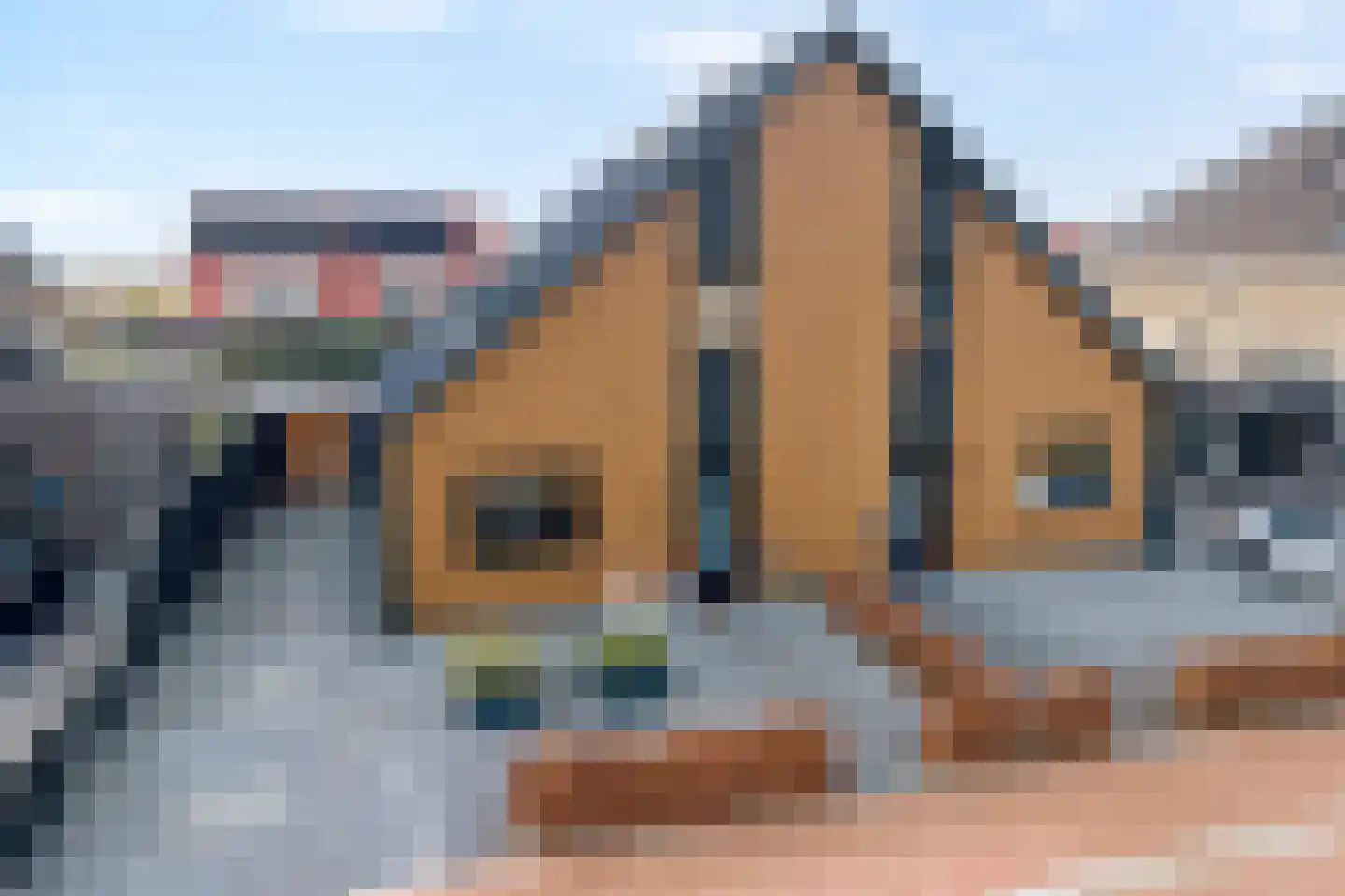 Nijboershof 8 Broekland thumbnail 44