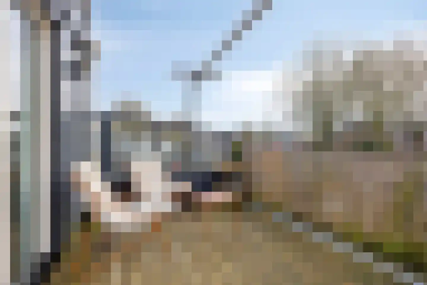 Nijborgmeen 7 A Harderwijk thumbnail 20