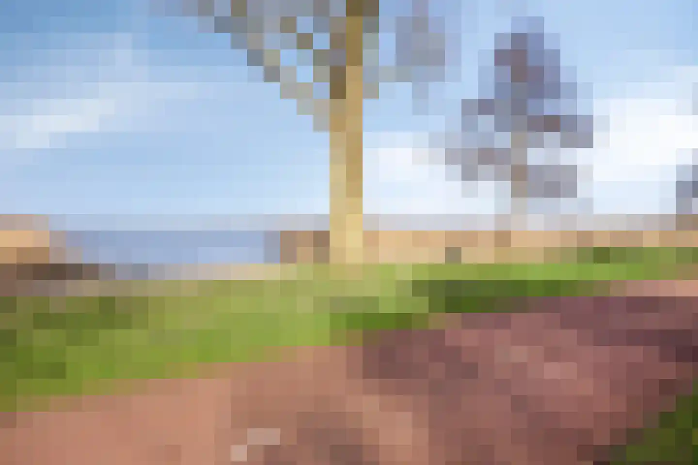 Nijborgmeen 7 A Harderwijk thumbnail 31