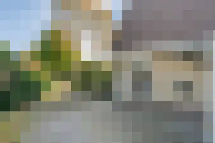 Nijbrecht 18 Vledder thumbnail 12