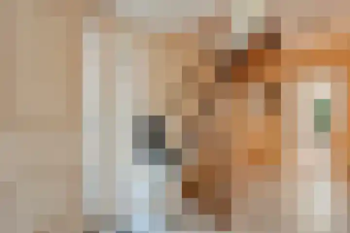 Nijbrecht 18 Vledder thumbnail 13