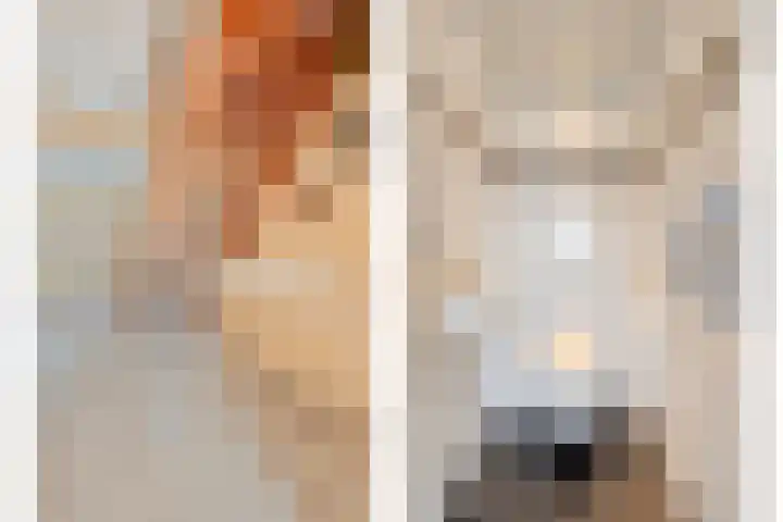 Nijbrecht 18 Vledder thumbnail 14