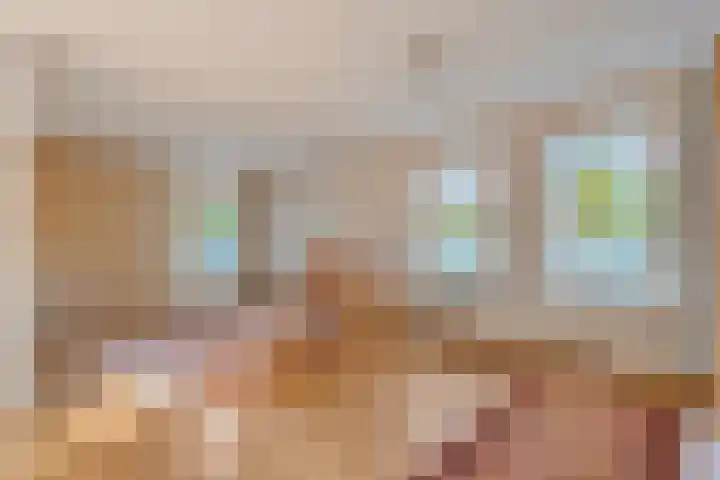 Nijbrecht 18 Vledder thumbnail 15