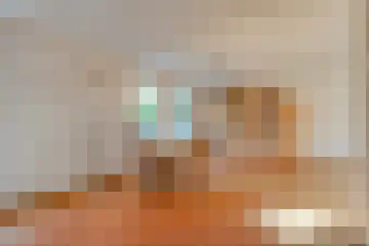 Nijbrecht 18 Vledder thumbnail 16