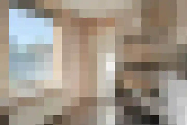 Nijbrecht 18 Vledder thumbnail 19