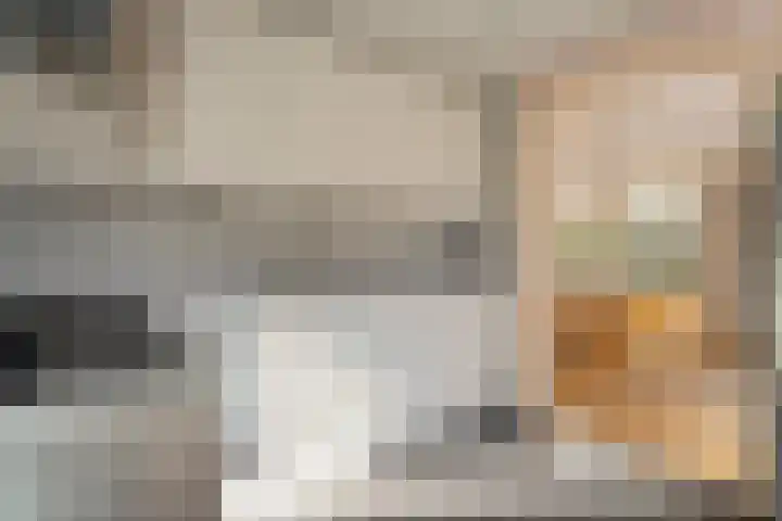 Nijbrecht 18 Vledder thumbnail 20