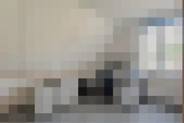 Nijbrecht 18 Vledder thumbnail 22