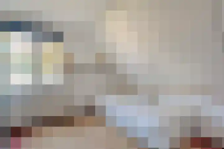 Nijbrecht 18 Vledder thumbnail 24