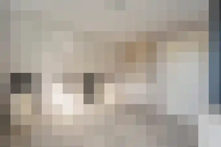 Nijbrecht 18 Vledder thumbnail 27