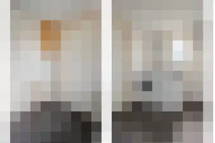 Nijbrecht 18 Vledder thumbnail 30