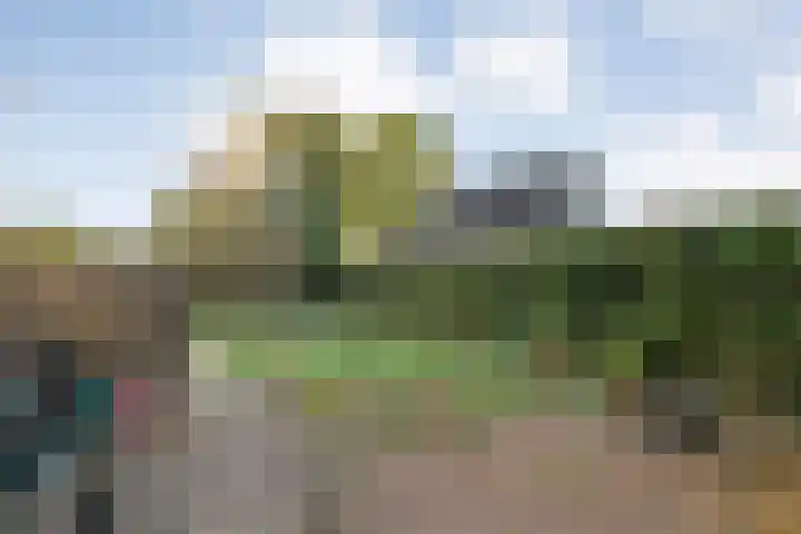 Nijbrecht 18 Vledder thumbnail 31