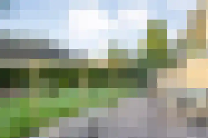 Nijbrecht 18 Vledder thumbnail 35
