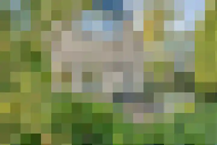 Nijbrecht 18 Vledder thumbnail 36