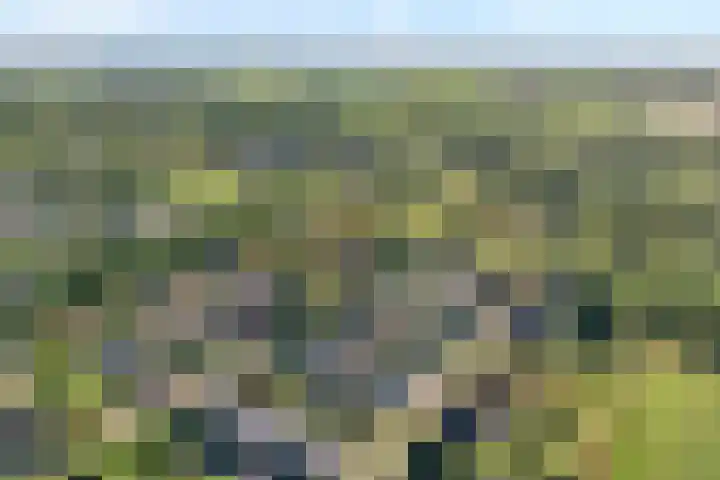 Nijbrecht 18 Vledder thumbnail 37