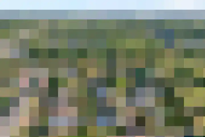 Nijbrecht 18 Vledder thumbnail 38
