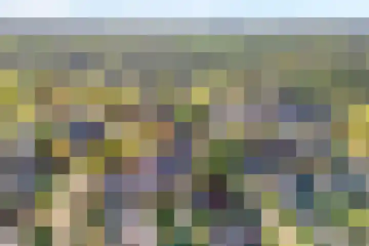 Nijbrecht 18 Vledder thumbnail 5