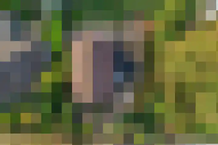 Nijbrecht 18 Vledder thumbnail 6