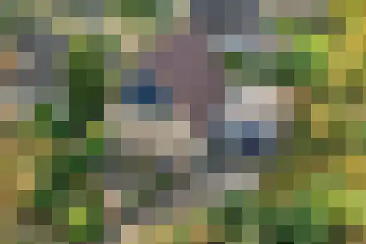Nijbrecht 18 Vledder thumbnail 7